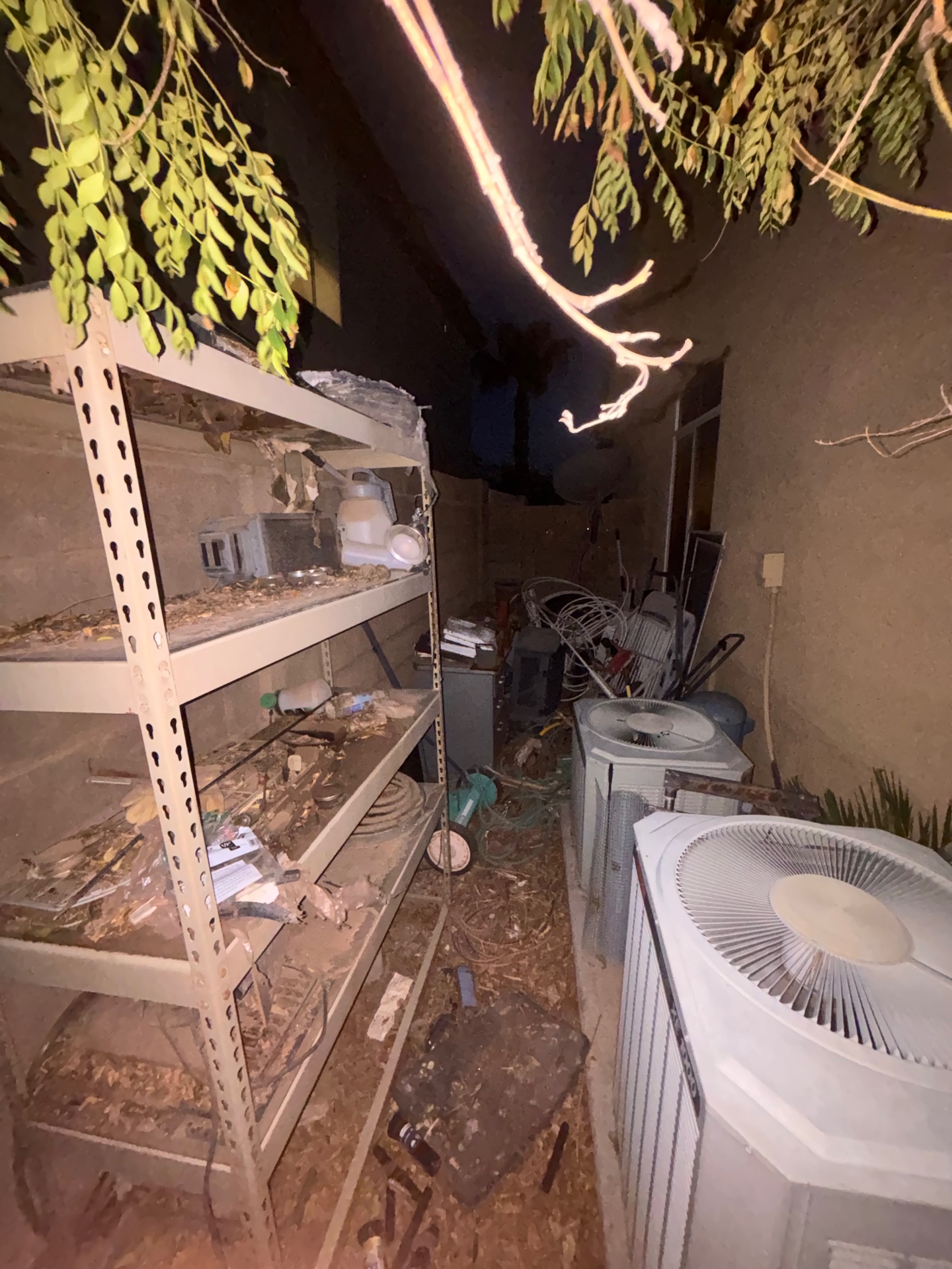 Before — Backyard corner cleanup — Tempe
