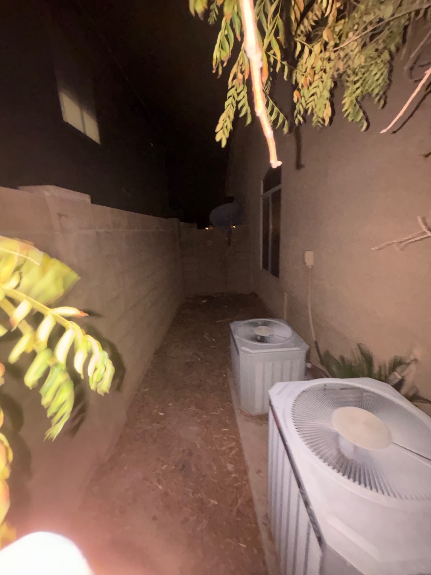 After — Backyard corner cleanup — Tempe